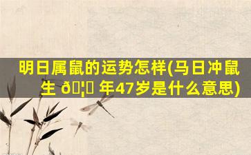 明日属鼠的运势怎样(马日冲鼠生 🦈 年47岁是什么意思)